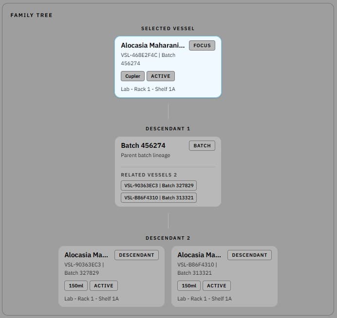 Family tree screenshot showing lineage relationships between tissue culture batches